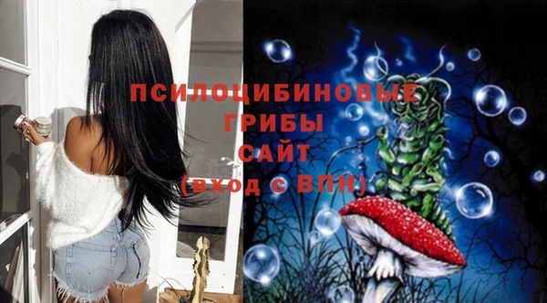 марки lsd Бородино
