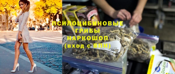 марки lsd Бородино