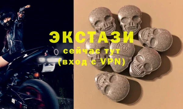 гашик Богородск