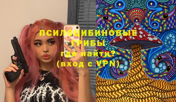 гашик Богородск