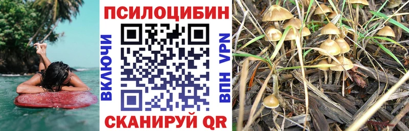 KRAKEN как войти  магазин    Шумиха  Галлюциногенные грибы ЛСД 