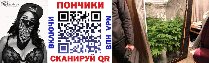 Бошки Шишки план  Шумиха 